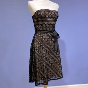 Strapless Lace LOFT Dress